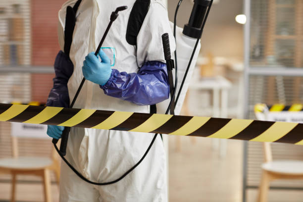 Professional Sewage Cleanup technician working in Sidney, MI